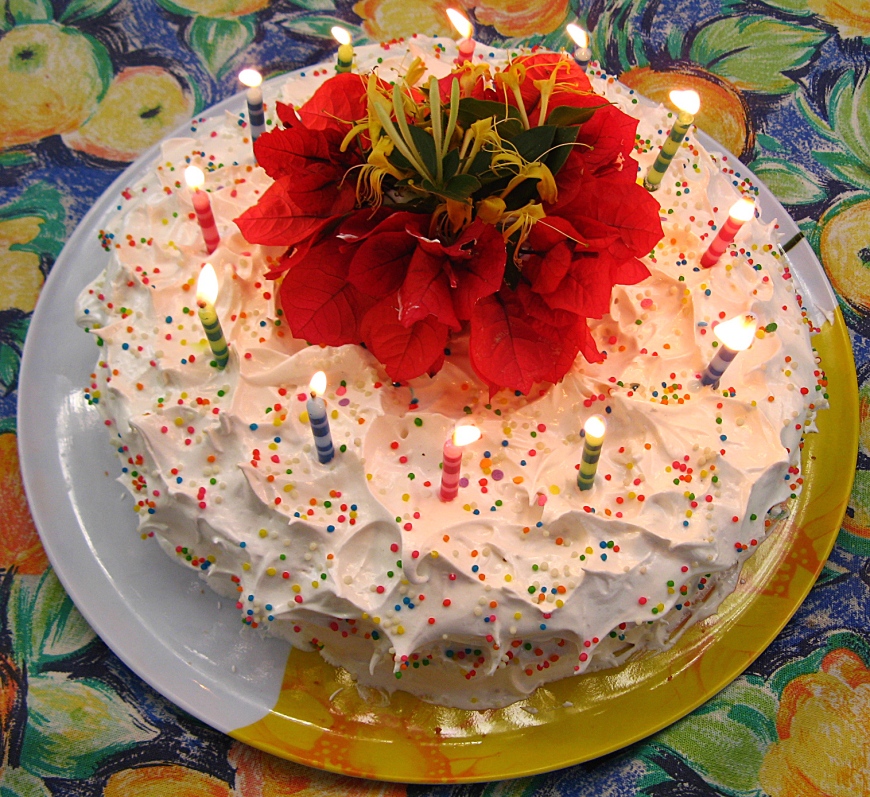 arinas74 birthday cake